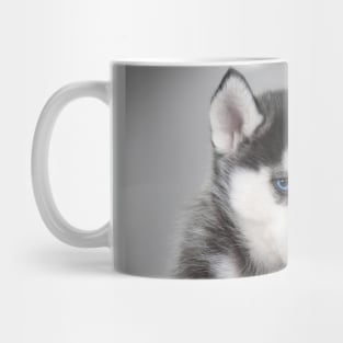 Husky puppy Mug